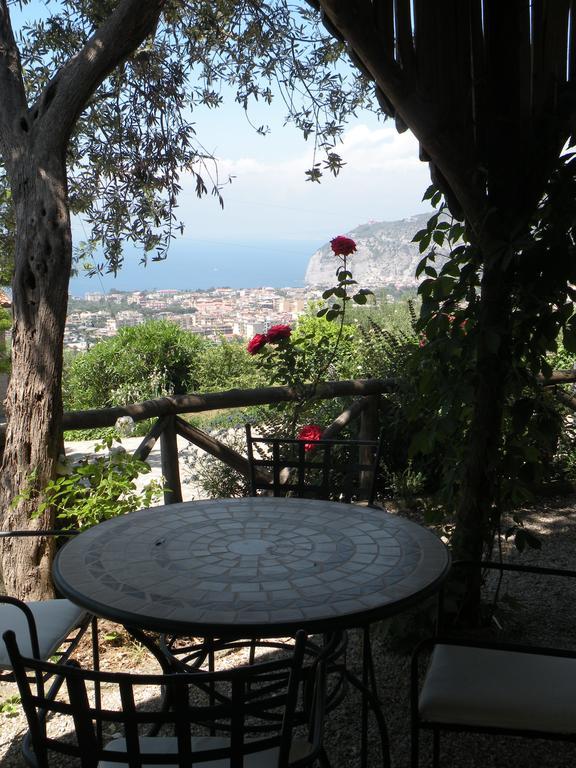 Agriturismo L'Olivara Piano di Sorrento Exteriér fotografie
