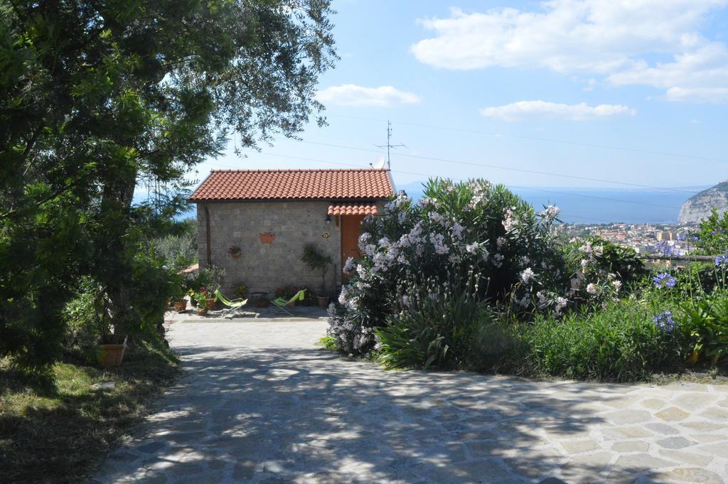 Agriturismo L'Olivara Piano di Sorrento Exteriér fotografie