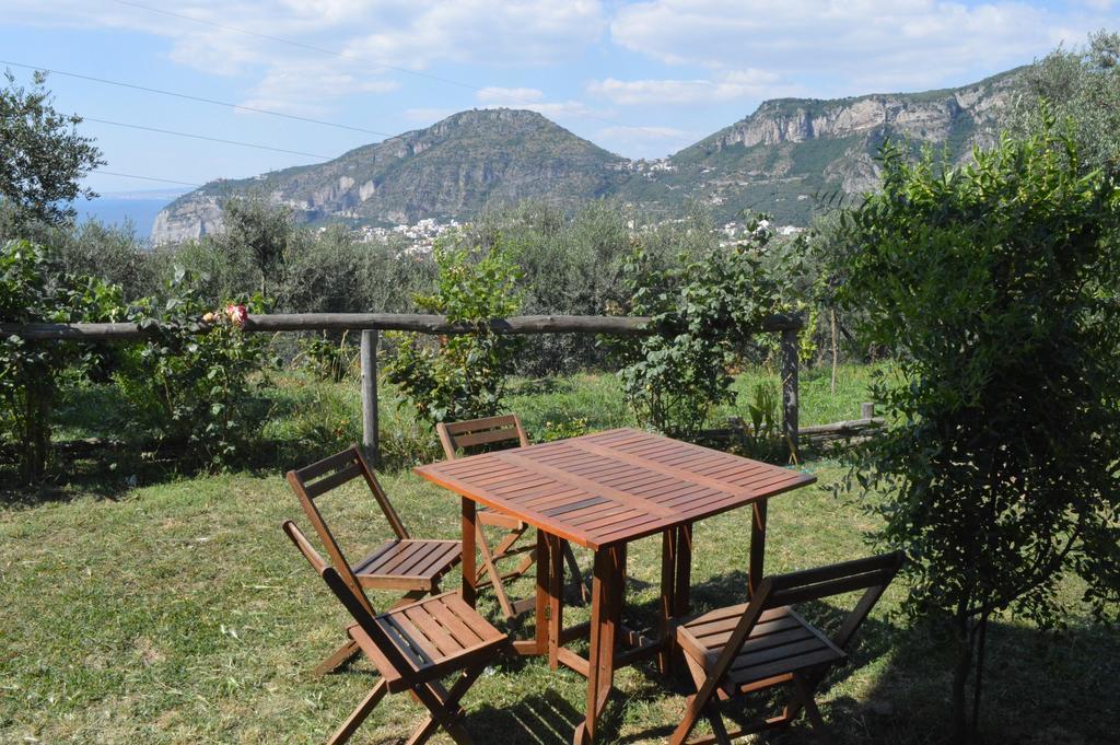 Agriturismo L'Olivara Piano di Sorrento Exteriér fotografie