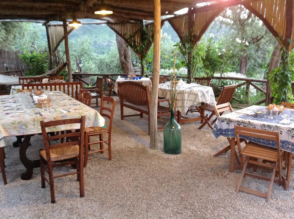 Agriturismo L'Olivara Piano di Sorrento Exteriér fotografie