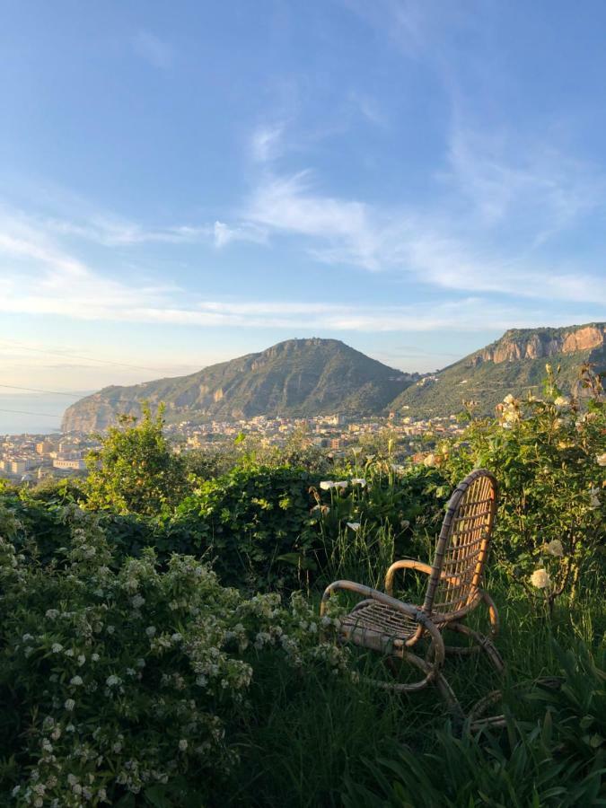 Agriturismo L'Olivara Piano di Sorrento Exteriér fotografie