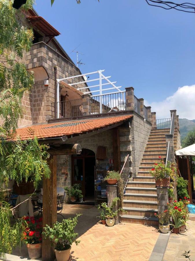 Agriturismo L'Olivara Piano di Sorrento Exteriér fotografie